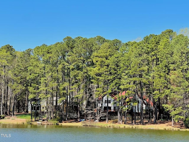 water view with a heavily wooded area