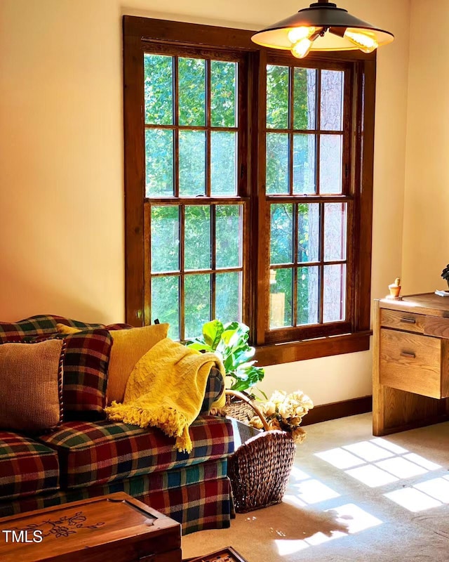 entryway with carpet, healthy amount of natural light, and baseboards