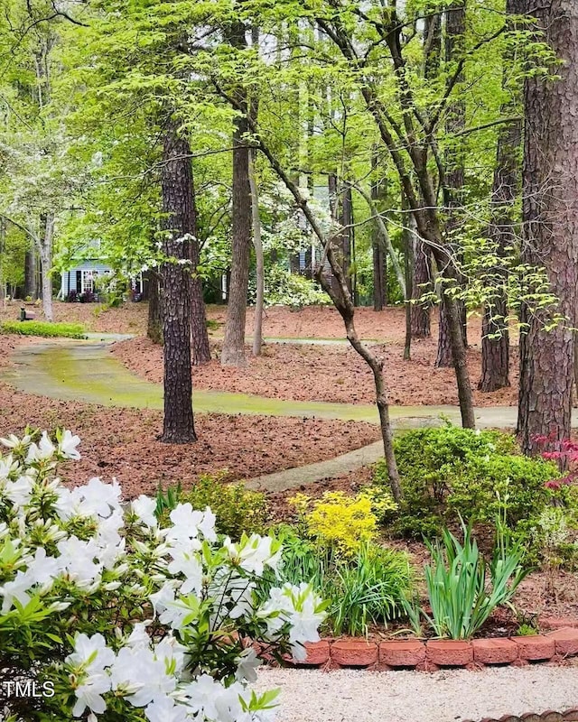 view of community