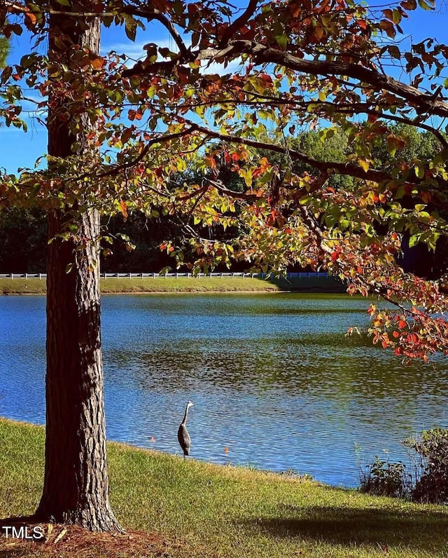 water view