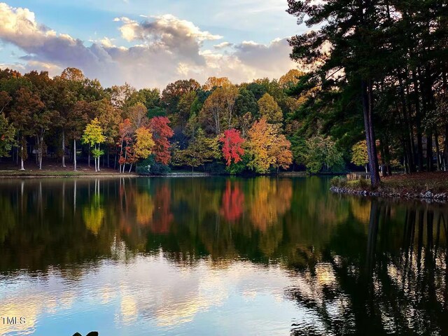 water view with a forest