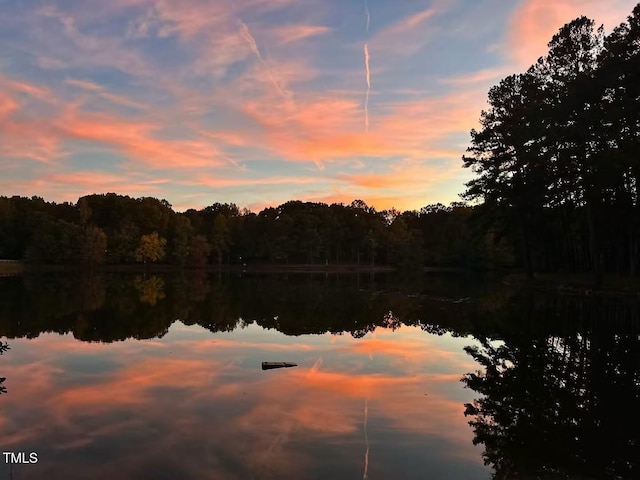 water view featuring a heavily wooded area