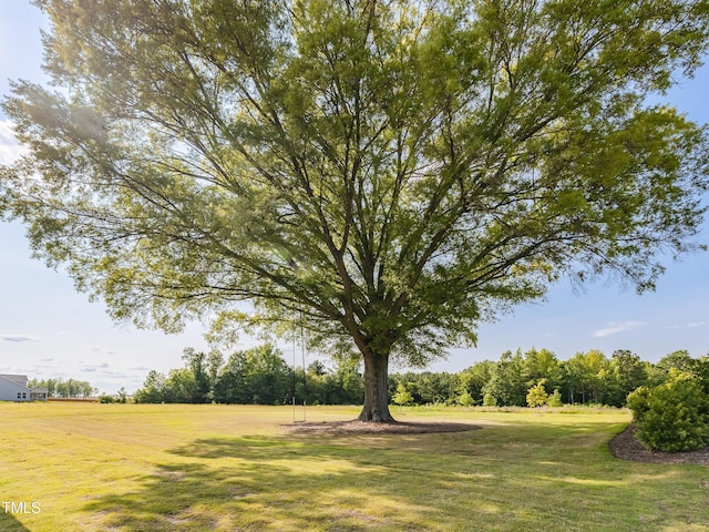 view of grassy yard