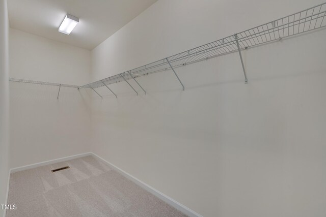 walk in closet featuring carpet