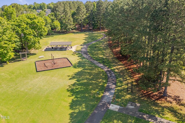 drone / aerial view