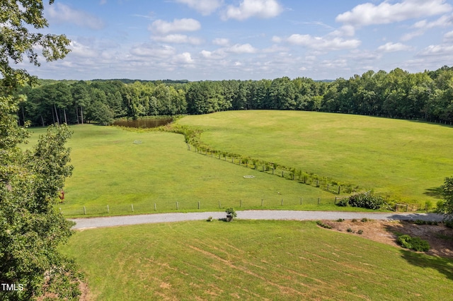 3123 Brassfield Rd, Creedmoor, NC 27522 - photo 13
