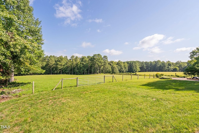 3123 Brassfield Rd, Creedmoor, NC 27522 - photo 37