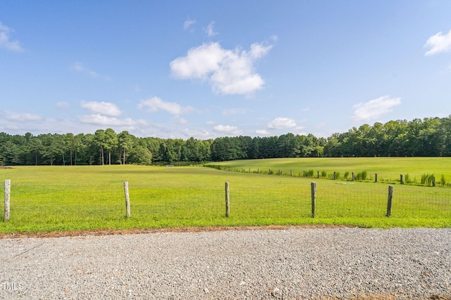 3123 Brassfield Rd, Creedmoor, NC 27522 - photo 39