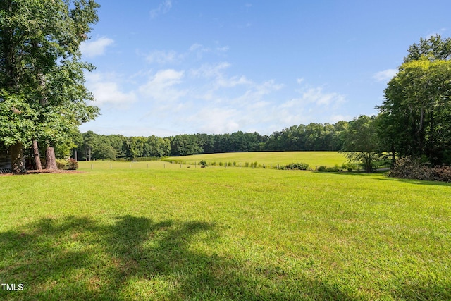 3123 Brassfield Rd, Creedmoor, NC 27522 - photo 8
