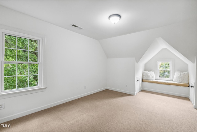 101 Parkbow Ct, Cary, NC 27519 - bonus room with light colored carpet and vaulted ceiling