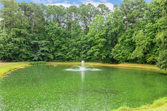 101 Parkbow Ct, Cary, NC 27519 - water view