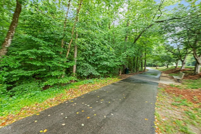 101 Parkbow Ct, Cary, NC 27519 - view of road