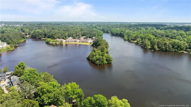aerial view of a large body of water and a forest