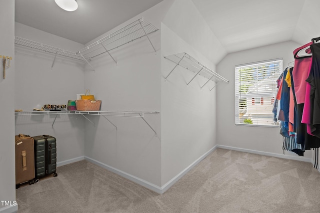 walk in closet featuring carpet flooring and lofted ceiling
