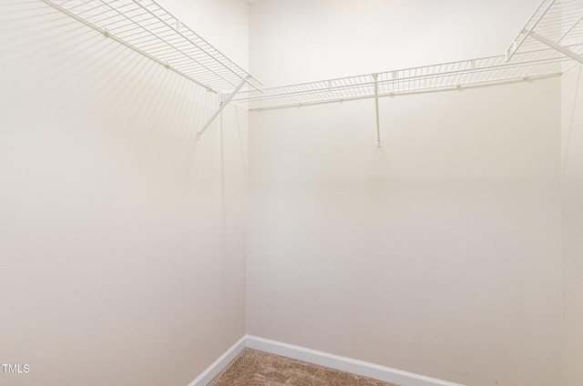 2111 Piney Brook Rd Unit 101, Raleigh, NC 27614 - walk in closet featuring light carpet