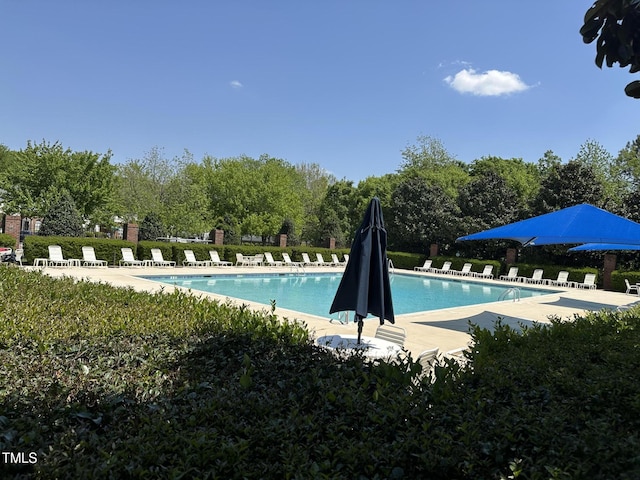 2111 Piney Brook Rd Unit 101, Raleigh, NC 27614 - community pool with a patio area