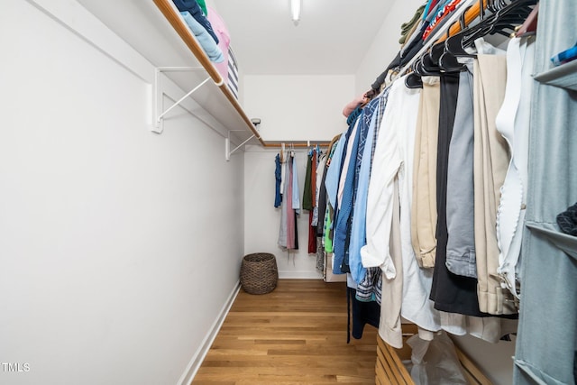 walk in closet featuring wood finished floors