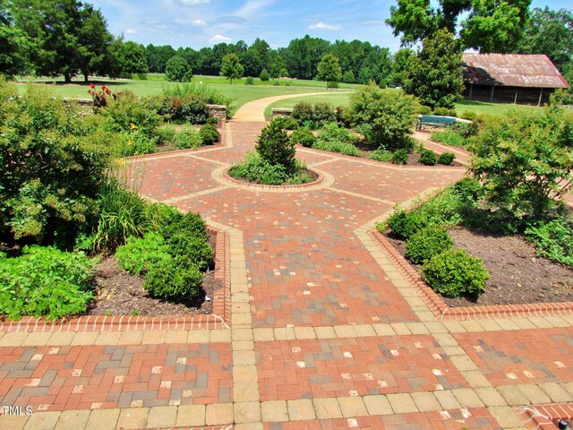 view of community featuring view of scattered trees