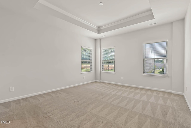 1745 Ripley Woods St, Wake Forest, NC 27587 - carpeted spare room with ornamental molding and a raised ceiling