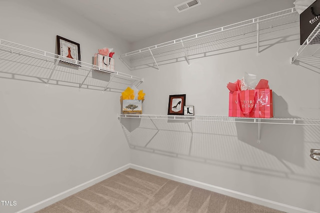 1745 Ripley Woods St, Wake Forest, NC 27587 - spacious closet with carpet flooring