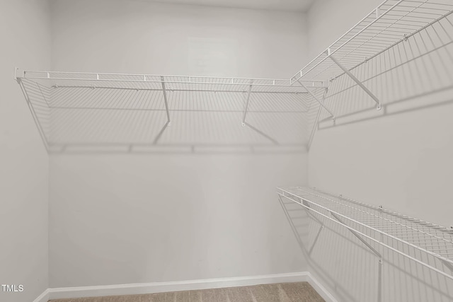 1745 Ripley Woods St, Wake Forest, NC 27587 - view of spacious closet
