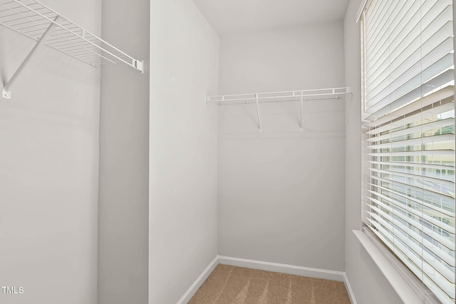 1745 Ripley Woods St, Wake Forest, NC 27587 - spacious closet with light colored carpet