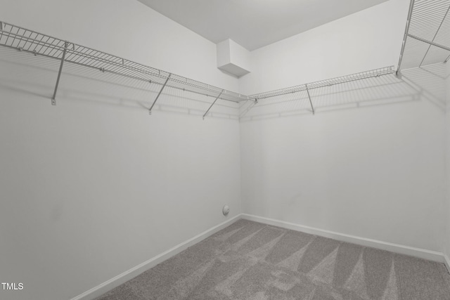 spacious closet with carpet floors