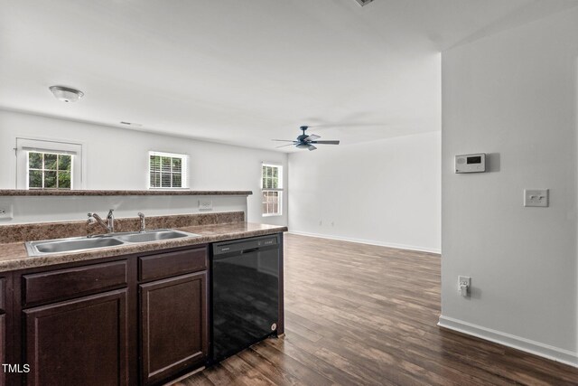 kitchen featuring black dishwasher, a sink, dark brown cabinetry, dark wood-style flooring, and a ceiling fan