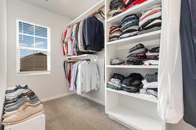 19 Cecina Ct, Clayton, NC 27527 - walk in closet featuring carpet floors