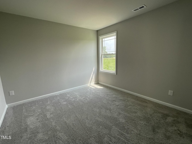 110 Coharie Dr, Lillington, NC 27546 - photo 13