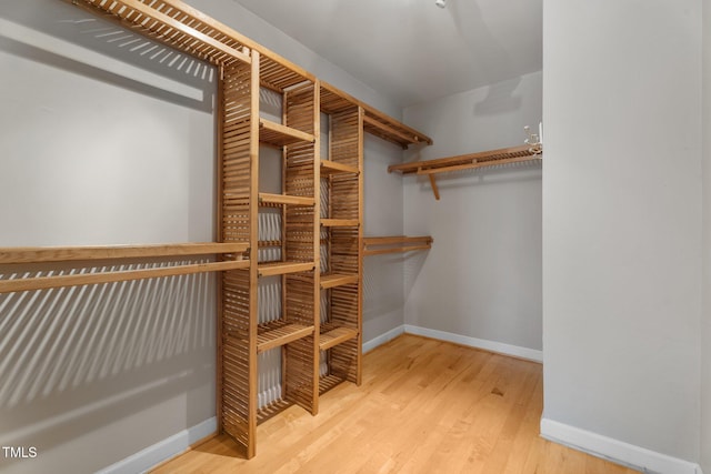 spacious closet featuring wood finished floors