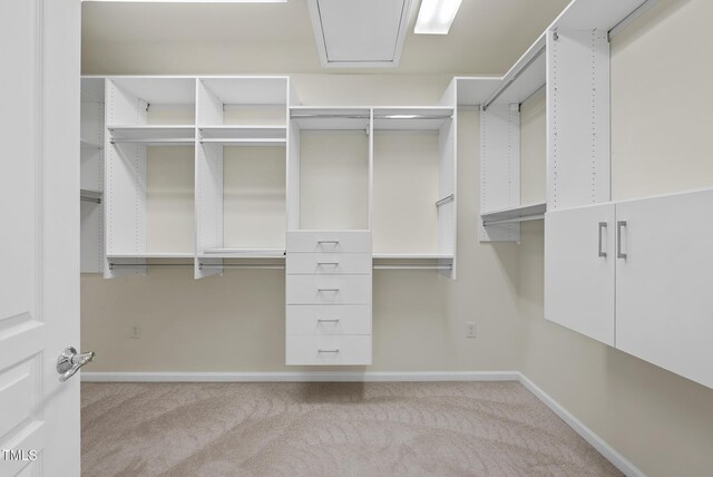 walk in closet with light carpet