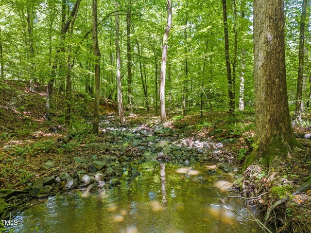 1514 Lawrence Rd, Creedmoor, NC 27522 - view of local wilderness