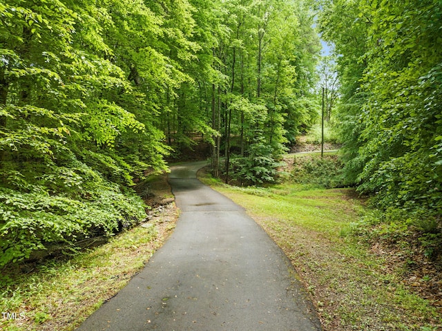 1514 Lawrence Rd, Creedmoor, NC 27522 - view of road featuring a view of trees