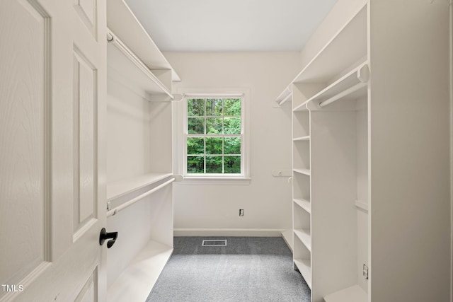 1514 Lawrence Rd, Creedmoor, NC 27522 - spacious closet with carpet