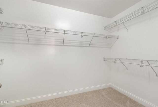 spacious closet with carpet floors