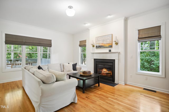 living room featuring crown molding, a fireplace with flush hearth, healthy amount of natural light, and light wood-type flooring