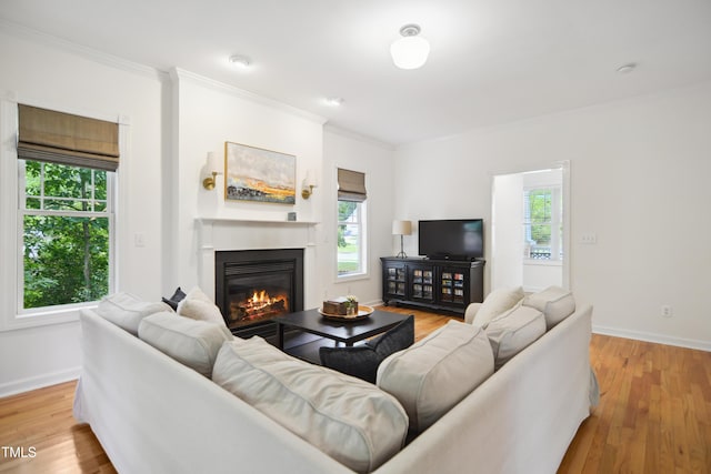 living room featuring ornamental molding, healthy amount of natural light, a glass covered fireplace, and baseboards