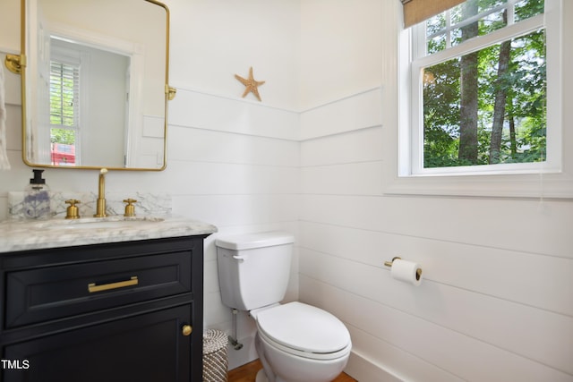bathroom with toilet and vanity