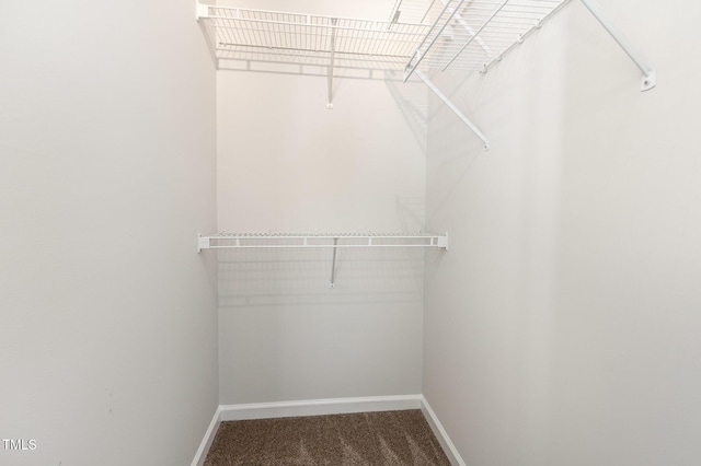 105 Hiddenwood Ct, Garner, NC 27529 - spacious closet featuring carpet