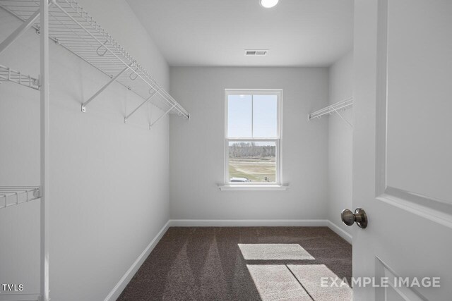 1412 Main St, Lillington, NC 27546 - walk in closet with carpet floors