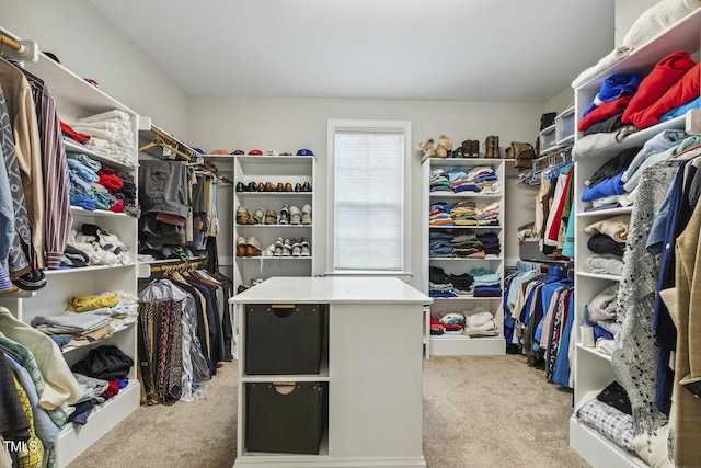 spacious closet with carpet flooring