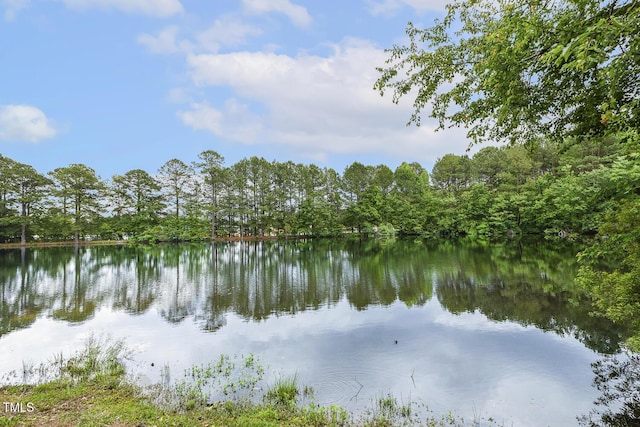 water view featuring a forest
