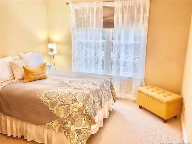 60 Hill Shore Ln, Clayton, NC 27527 - view of carpeted bedroom