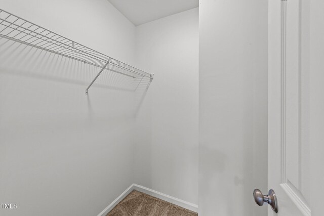 407 Whitehall Ct, Clayton, NC 27520 - photo 29