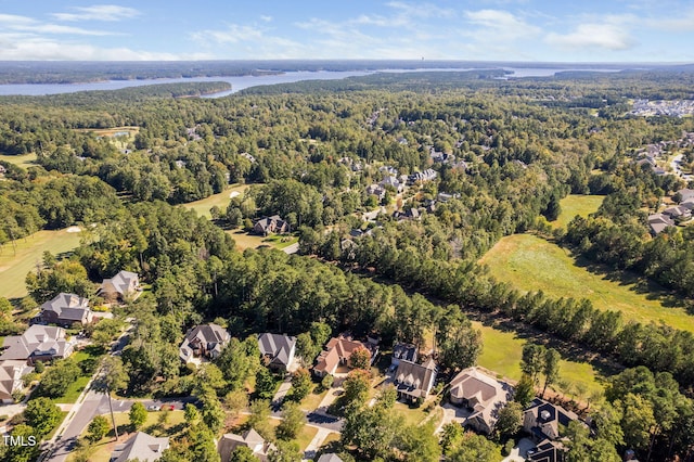 39 Forked Pine Ct, Chapel Hill, NC 27517 - aerial view of residential area featuring a forest