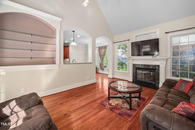 39 Forked Pine Ct, Chapel Hill, NC 27517 - living room with baseboards, wood finished floors, plenty of natural light, a premium fireplace, and high vaulted ceiling