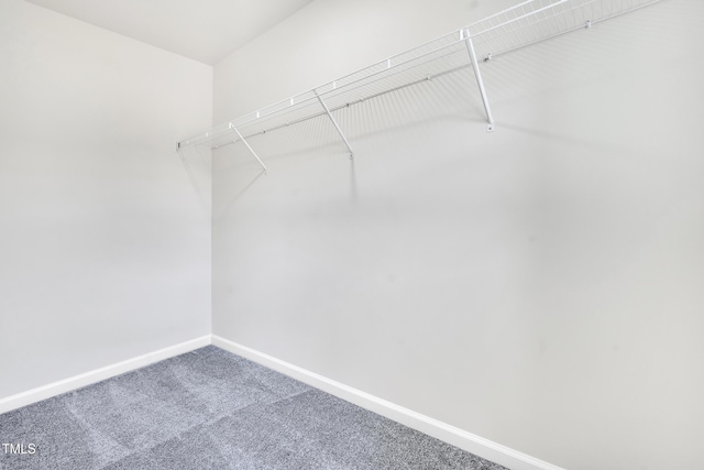 4601 Okeechobee Ct, Fuquay Varina, NC 27526 - spacious closet with carpet flooring