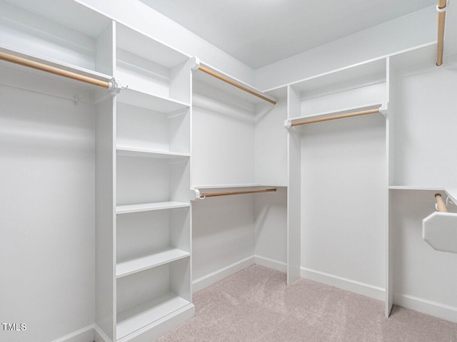 203 Chilcott Ln, Apex, NC 27502 - walk in closet with carpet floors