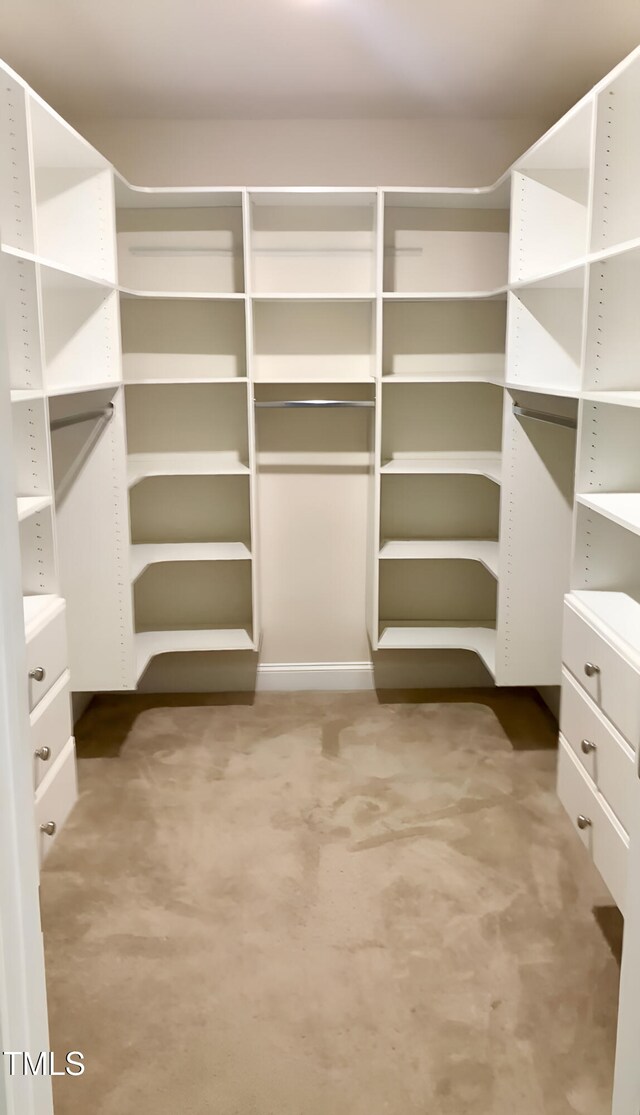 spacious closet with carpet flooring